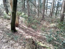 Gallt y Gog Hill Fort