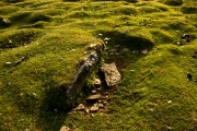 Allt Mawr chambered cairn - PID:109676