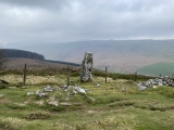 Maen Llwyd (Powys) - PID:269913