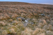 Blaen Fign Cairn 2 - PID:230108