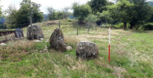 Bryntwppa