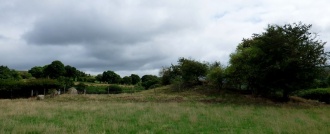 Bryntwppa