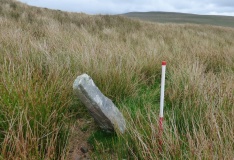 Cefn Car Standing Stones