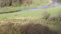 Cefnllys Burnt Mound - PID:159879