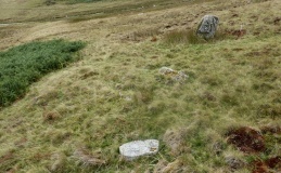 Court Standing Stone