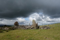 Carneddau Hill Stone