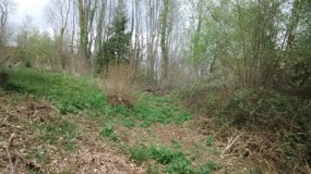Llangenny Camp
