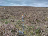 Llyn-y-Tarw - PID:287762