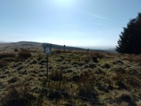 Garn Wen (Maescar) - PID:287755