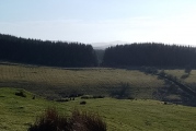 Dixies Corner - PID:287756