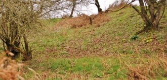 Llanfilo Camp
