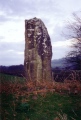Llwyn-Y-Fedwen - PID:8876