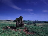 Gwern-Wyddog - PID:393
