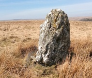 Waun Lydan