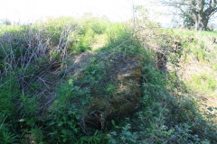 Penywyrlod