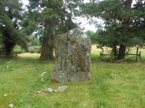 Great Oak Stone - PID:156020