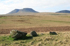 Nant Tarw Stone Row