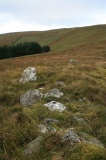 Bedd Crynddyn