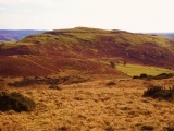Castle Bank (Radnorshire) - PID:45378