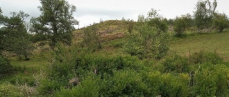 Coed Gibraltar