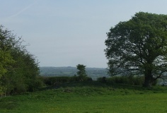 Pipton