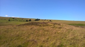 Gilwern Brook Barrows