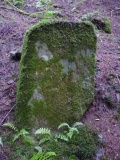 Coed Ynys Faen