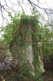 Fennifach