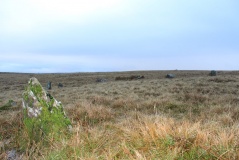 Trecastle Mountain ENE