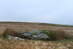 Y Pigwn standing stone