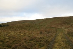 Bedd Crynddyn