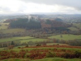 Coed Fenn-Fach - PID:99876