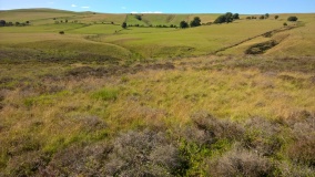 Gilwern Brook Barrows