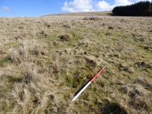 Nant Cnewr-Fawr Stone