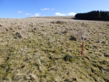 Nant Cnewr-Fawr Stone