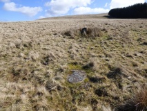 Nant Cnewr-Fawr Stone