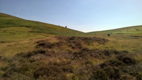 Gilwern Brook Barrows