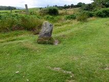 Mynydd Illtud Standing Stone 1