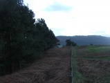 Click for full size image of Llwyn Bryn Dinas (PID:96897) Llwyn Bryn Dinas