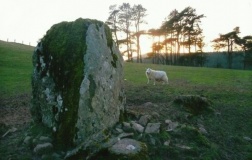 Troed Rhiw Wen standing stone