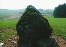 Gwern-Wyddog