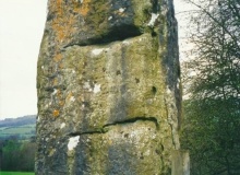 Llwyn-Y-Fedwen