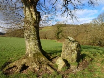 Ty-Mawr Mill Standing Stone