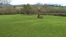 Little Lodge