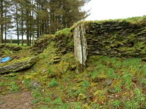 Penywyrlod