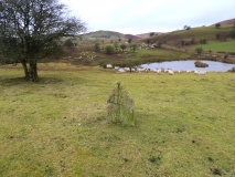 Cwm Stone