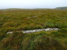 Cefn Llanerchi