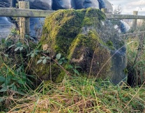 Parc Gwyn Standing Stone