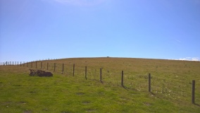 Bryn-y-Maen
