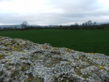 Kinnerton